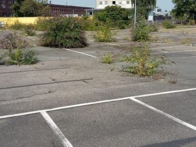 Servicepioniere und Servicekomplizen kreative Serviceideen für Orte des Grauens Parkplatz